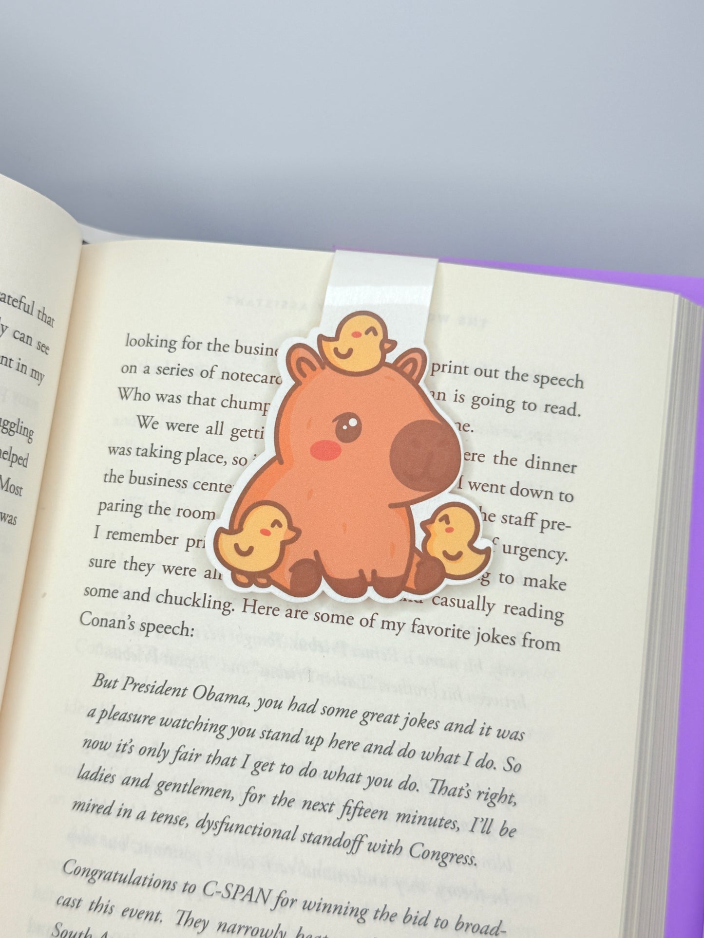 Kawaii Capybara and Ducks Magnetic Bookmark